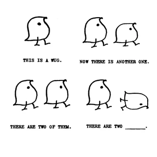 An Example Test Item from the Wug Test (Berko, 1958)